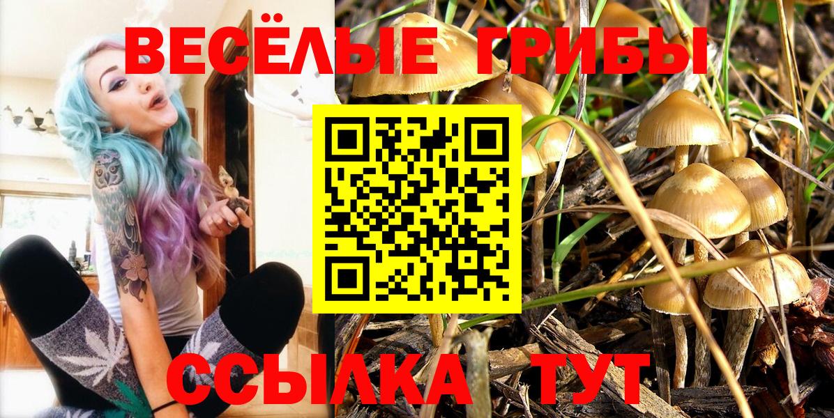 закладки  Псилоцибиновые грибы прущие грибы  Галлюциногенные грибы Magic Shrooms  Вход с VPN  Алейск 
